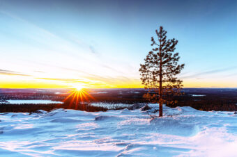 2025-2026｜ 年末年始営業日 のお知らせ