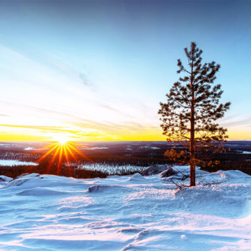 2025-2026｜ 年末年始営業日 のお知らせ