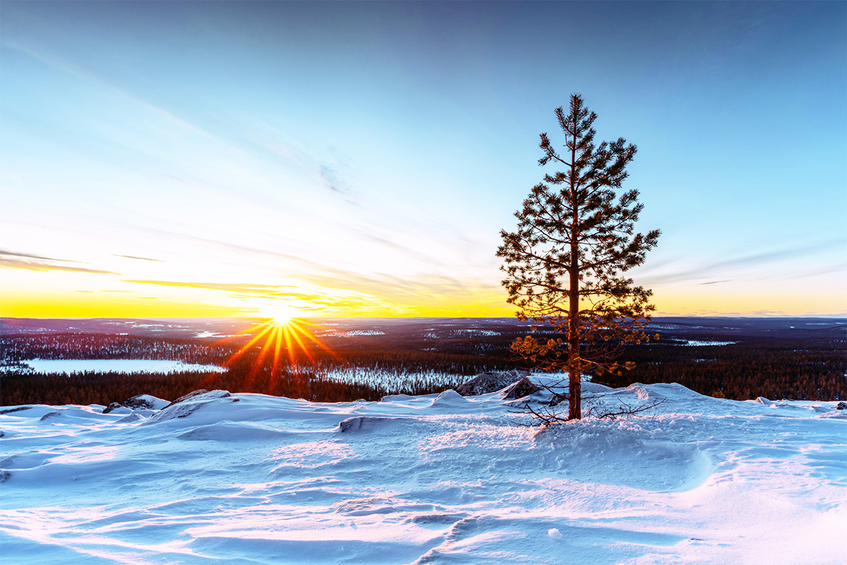年末年始の営業時間のお知らせ